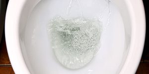 why is my toilet bubbling
