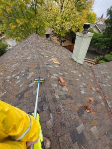 Check List services in Roseville