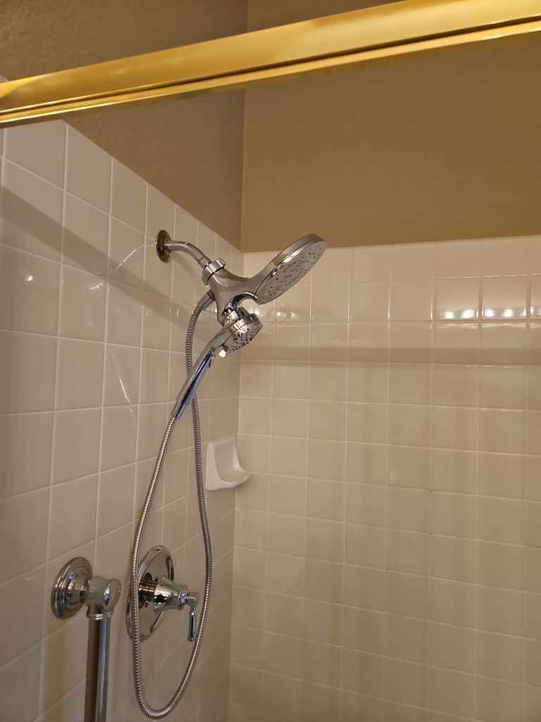 Bathroom Faucet and Showerhead Replacement in Roseville