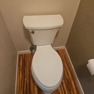 Toilet Replacement Service in Rocklin