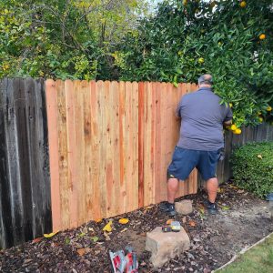 Fence Repair Multipoint Inspection in Roseville
